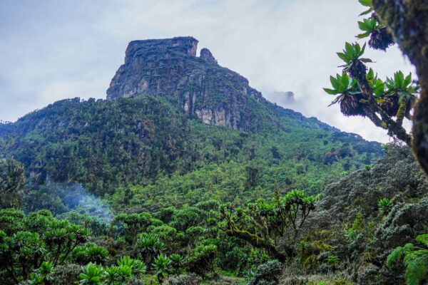 Trek to Mutinda Lookout
