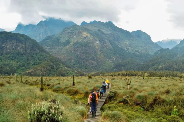 2 Weeks Rwenzori Hike And Uganda Safari 2 Weeks Rwenzori Hike And Uganda Safari