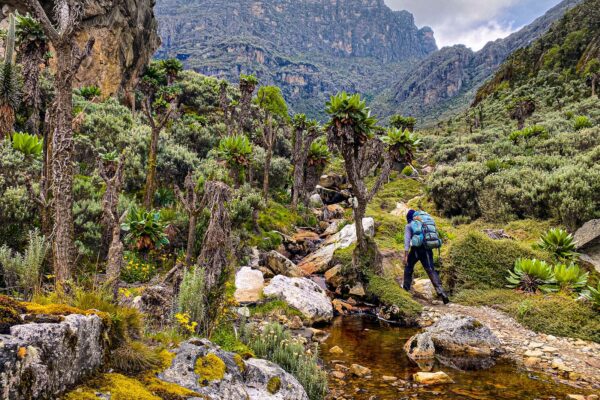 Ruwenzori Trekking Ruwenzori Trekking